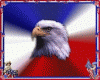 red,whiteand blue eagle