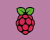 Rasberry Sticker