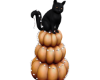 Cat / pumpkin