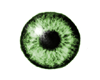 [DJ]Eyes Green M