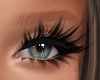 EYESBROWS Ginger