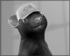 $ RATZ DRVB