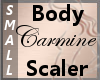Body Scaler CarMine S