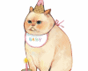 𝐼𝑠.CatCuteCutout