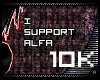 -a 10K SUPPORT