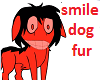 smile dog's fur