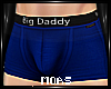 ~Blue Big Dad Briefs~