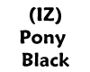 (IZ) Black Pony Curly