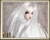 [ML]  White Drusilla