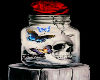 Skull In Jar
