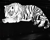 white tiger+pose/sound