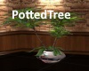 [BD]Potted Tree