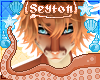 ✦ Jezza | Hair
