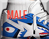 xRaw| BAPE X SHARK |2026