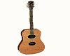 Guitar with tunes
