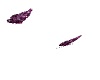 Purple Diamond Butterfly