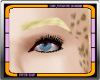 ∞ Manly Blond Brows
