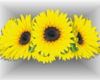 Sunflower Crown
