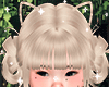 ♡ Cat Hair Blonde