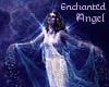 enchanted angel