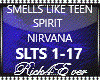 SMELLS LIKE TEEN SPIRIT