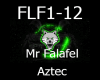 Mr falafel