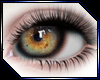 ★ Lookin Right Hazel
