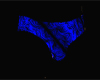 blue rave undies