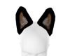 NK Cat Ear M/F