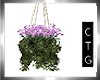 CTG HANGING FLOWERS