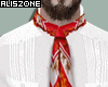 [AZ] JAROCHO Guayabera