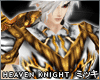 ! Heaven Knight Armour