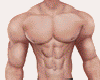 Muscle Perfect 2026