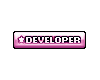 *T* Pink developer Tag
