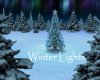 AV Winter Lights