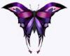 purple/pink butterfly