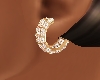 ! LQT RoseGold Earrings