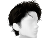 {l3} Handsome hair