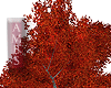 Firey Orange Fall Tree