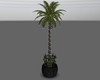 Potted lit palm tree