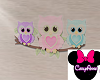 Owls Wall Art