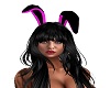 Black n Pink Bunny Ears