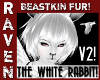 (F) THE WHITE RABBIT V2!