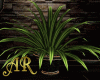 AR! Potted Plant