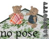 teddy bear picnic rug