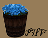 PHV Flowers In A Barrel 