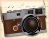 Vintage Brown Camera M