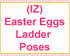 (IZ) Easter Eggs Ladder