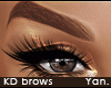 Y: KD brows | thick