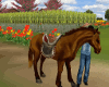 Animated  Horse